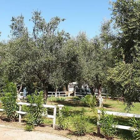 Gargano Village מלון רודי גרגניקו