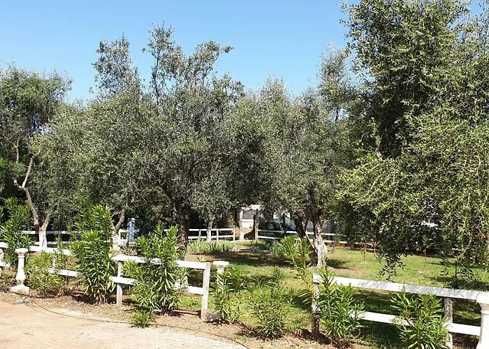 Gargano Village מלון רודי גרגניקו